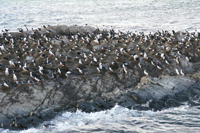 Urlaub in Südamerika 2011